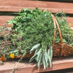 Kako su vaginalete sa biljnim ekstraktima postale popularne