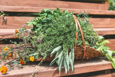 Kako su vaginalete sa biljnim ekstraktima postale popularne