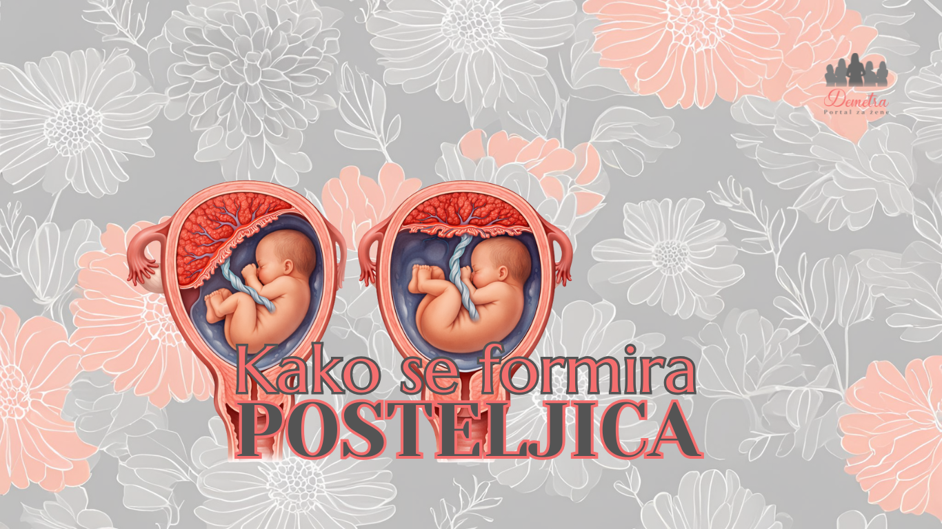 Kako i kada se formira posteljica