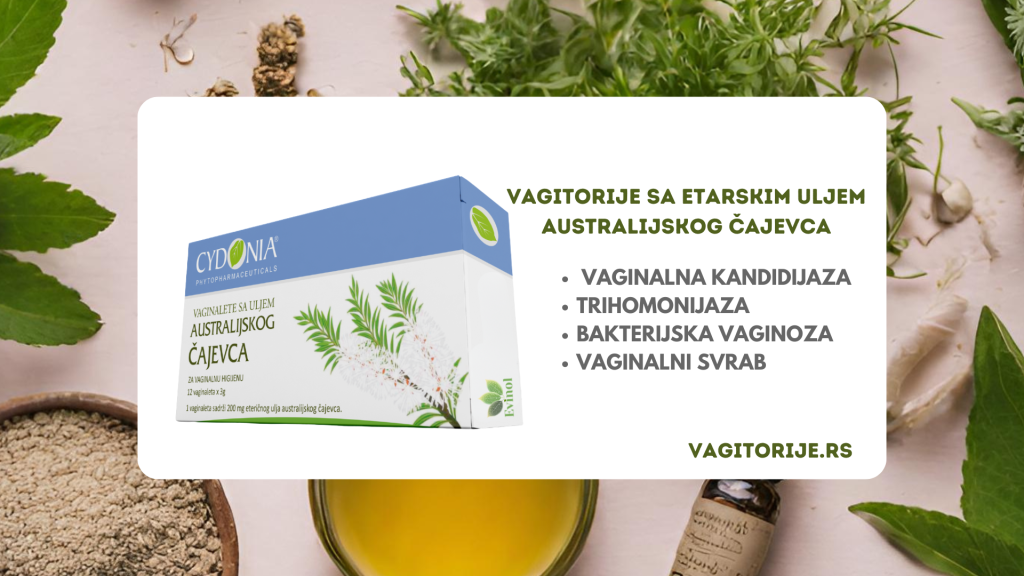 cydonia vaginalete cajevac