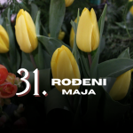 rođeni 31. maja