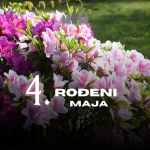 rođeni 4. maja