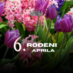 rođeni 6. aprila