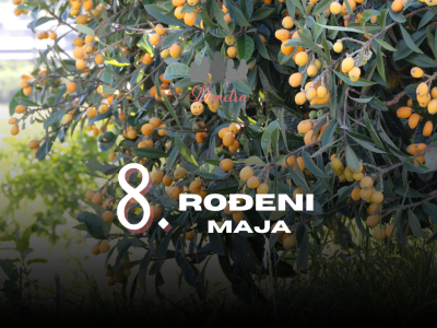 rođeni 8. maja