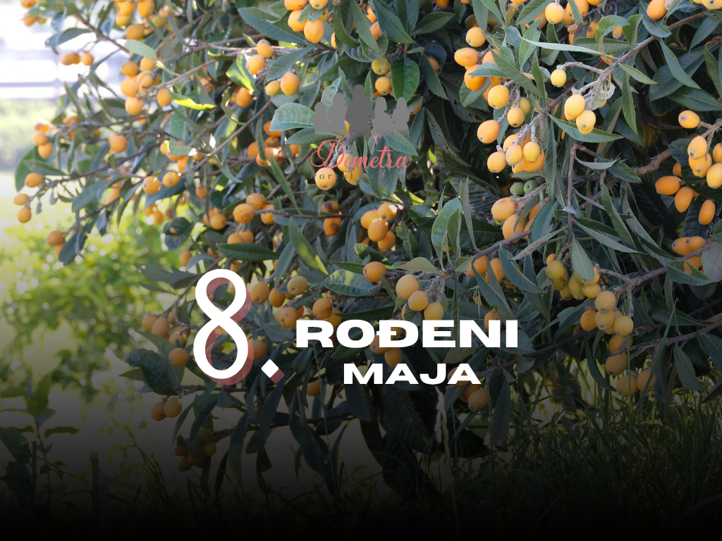 rođeni 8. maja