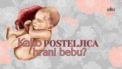 Krv majke dolazi do posteljice kroz krvne sudove materice i okružuje sitne resice posteljice, koje su ispunjene bebinim krvnim sudovima. Upravo na tom mestu odvija se razmena – kiseonik i hranljive materije prelaze ka bebi, dok se ugljen-dioksid i otpadni produkti vraćaju u krvotok majke.