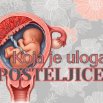 uloga posteljice