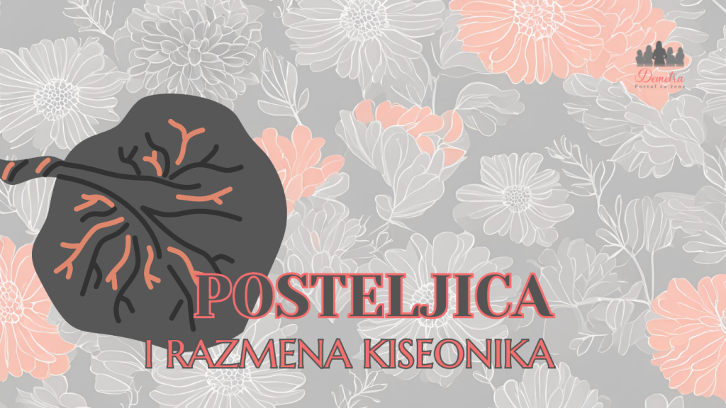 Posteljica i razmena kiseonika