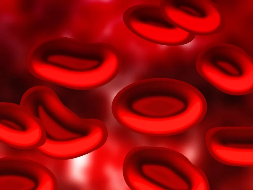 kako se nasleđuju krvne grupe
