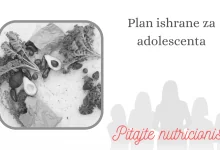 Plan ishrane za adolescenta